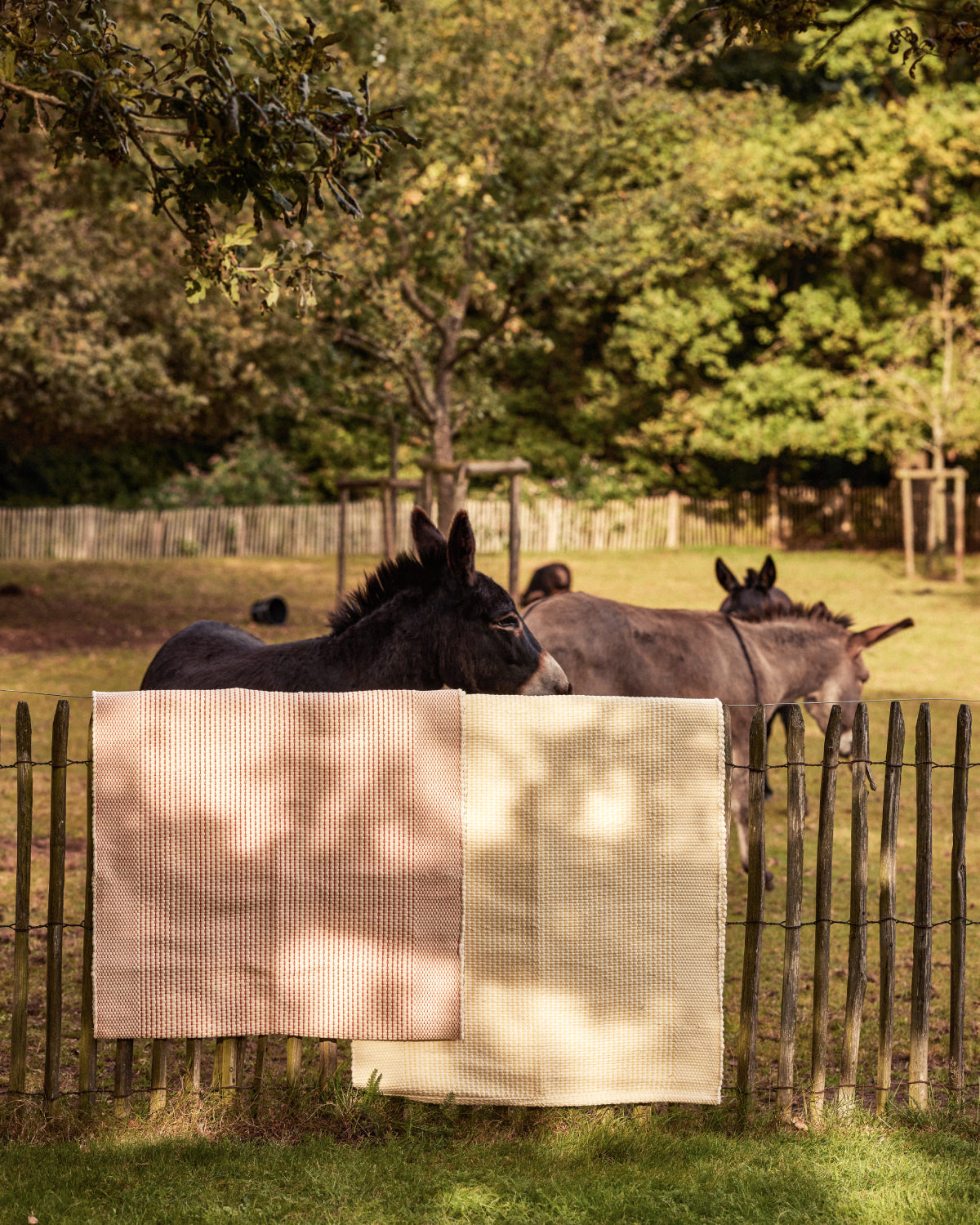 #farbe_naturweiß-gelb