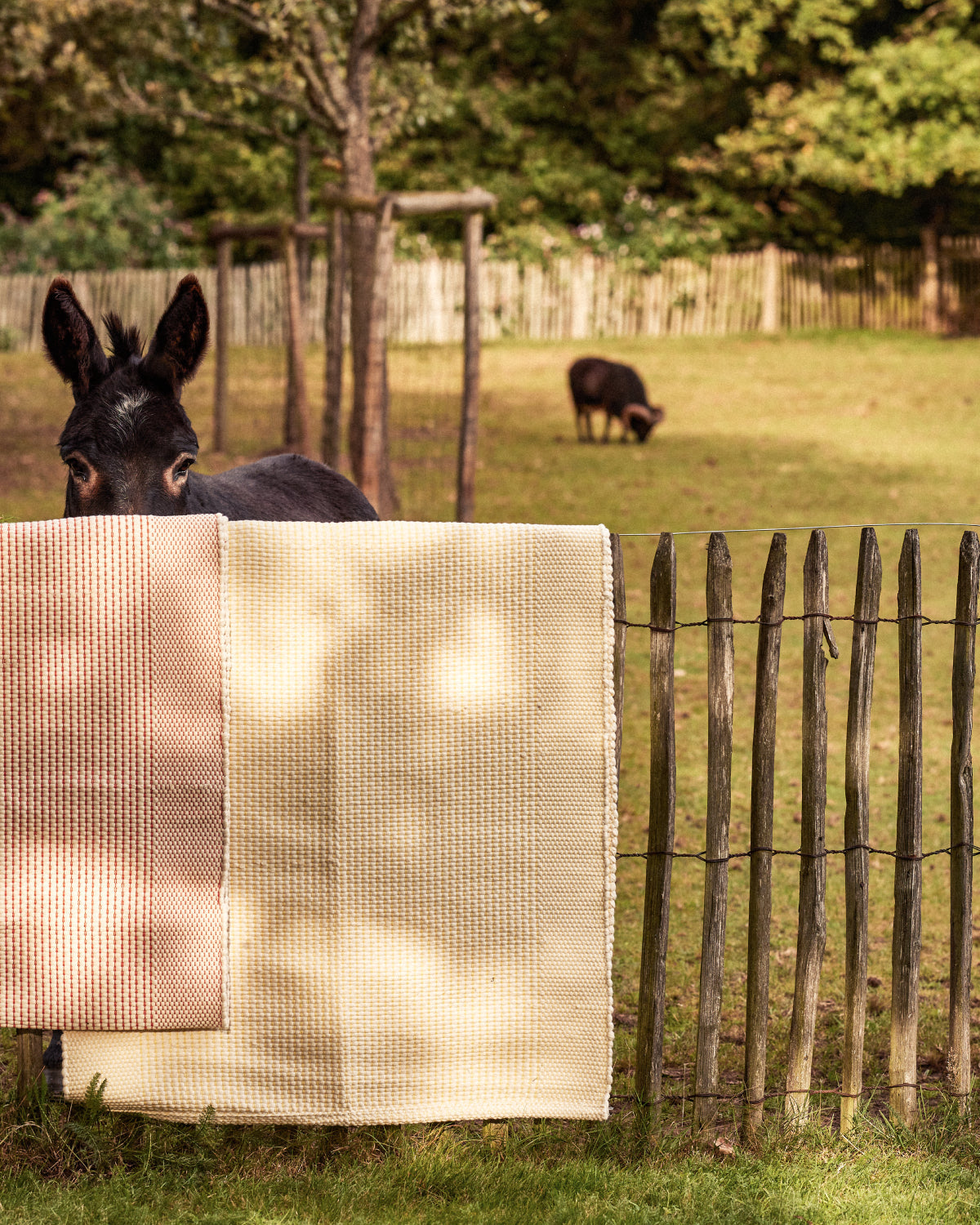 #farbe_naturweiß-gelb